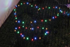 FY-50024 LED di Natale ramo di un albero piccola lampadina delle luci FY-50024 LED a buon mercato di Natale ramo di un albero piccola lampadina delle luci